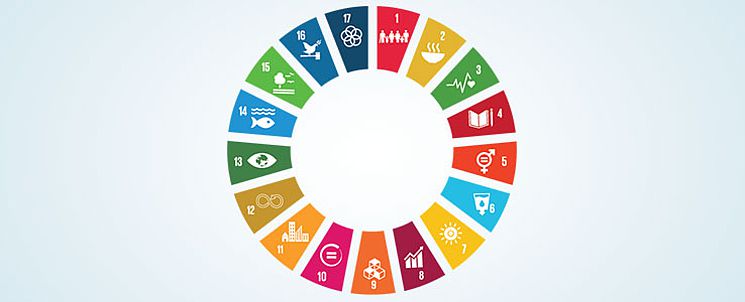 SDG, imug SDG, imug